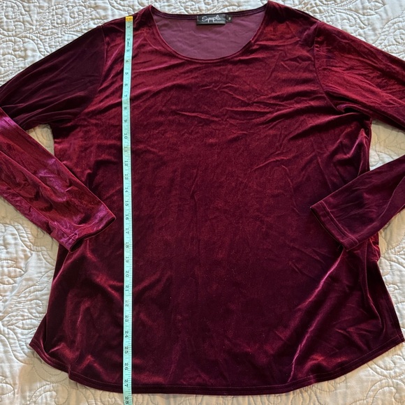 Sympli Long Sleeve Burgundy Velvet Top size 14 - Picture 13 of 14